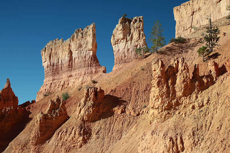 Bryce Canyon : Utah : Landscape Photos : Richard Moore : Photographer